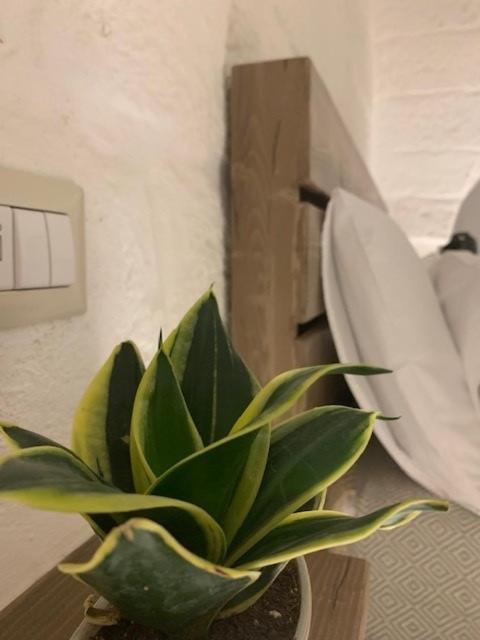 Boutique Room One Фазано Екстериор снимка